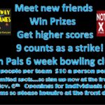 Pin Pals No tap scorer ad